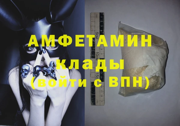 индика Абаза