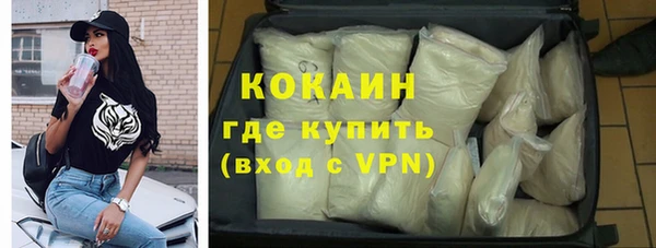 мет Алексин