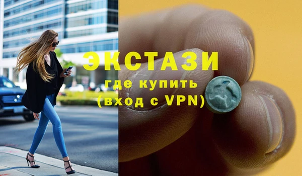 индика Абаза